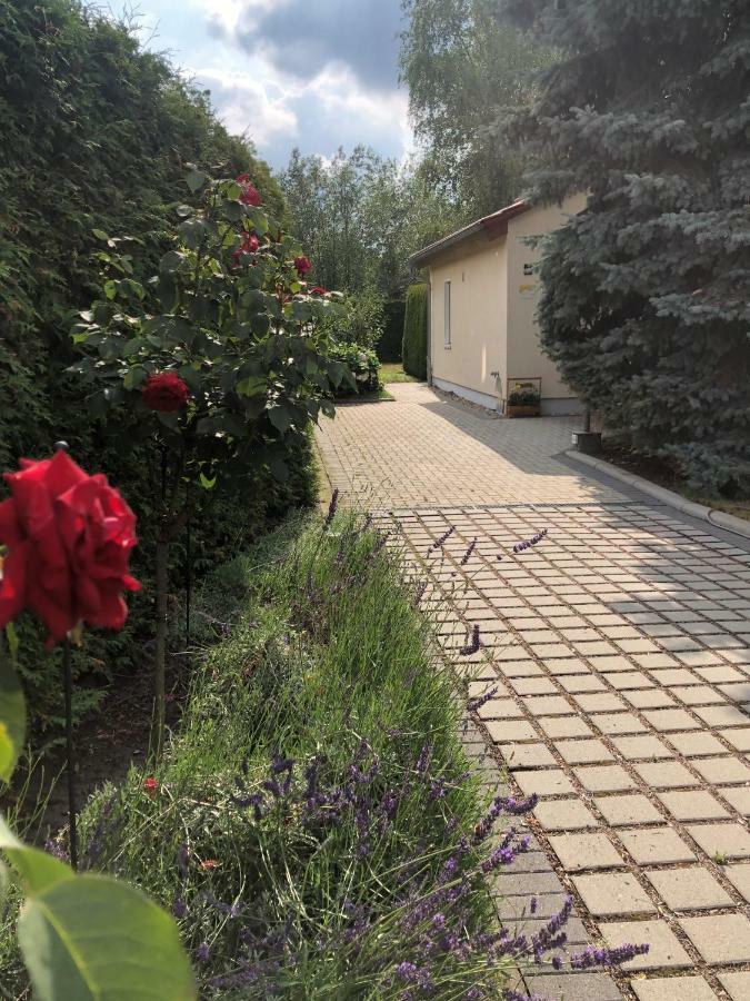 Klipphausen Ferienhaus Zur Blautanne מראה חיצוני תמונה